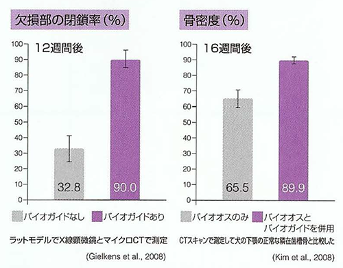 バイオガイド使用による欠損部閉鎖率と、バイオオス・バイオガイド併用による骨密度の比較グラフ
